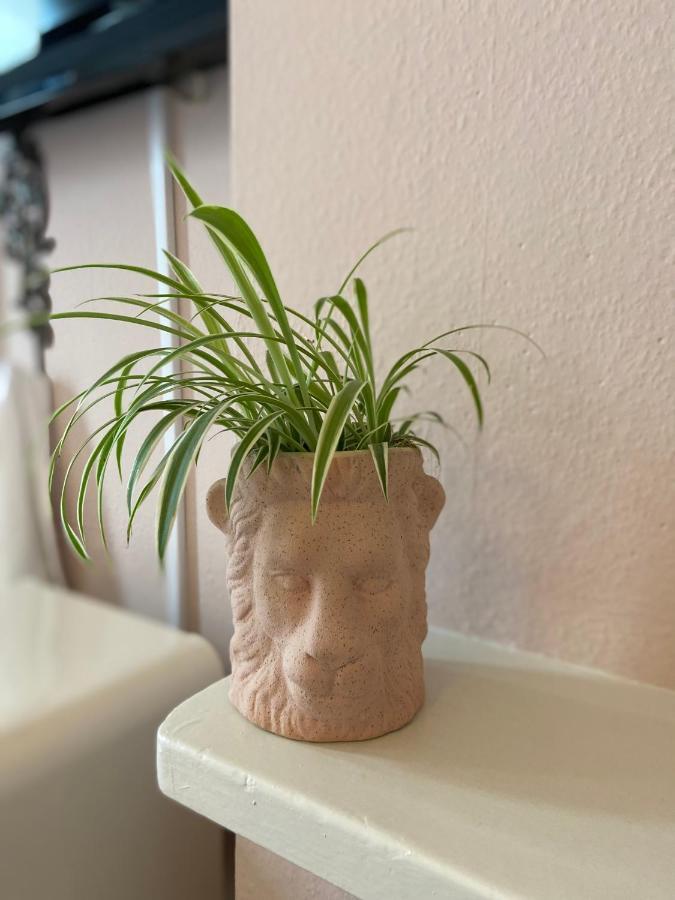 Triple Room,1184175244:JPEG